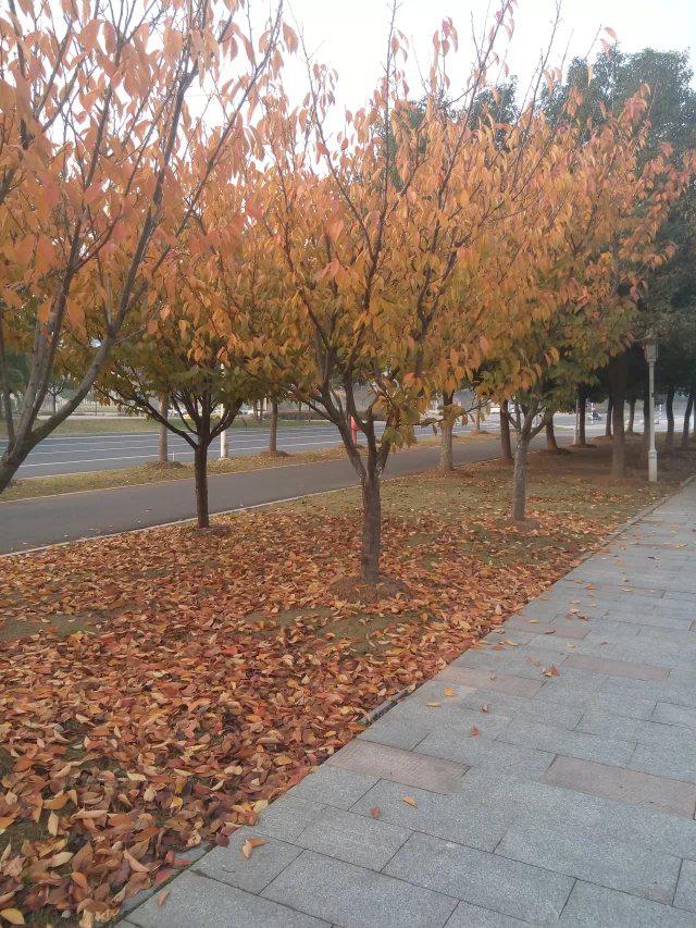 关于2014