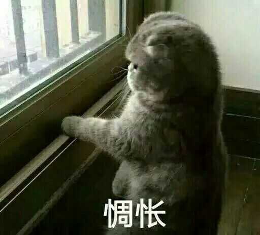 拖延症啊拖延症